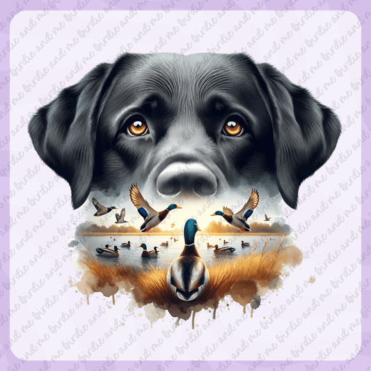 Duck Hunting