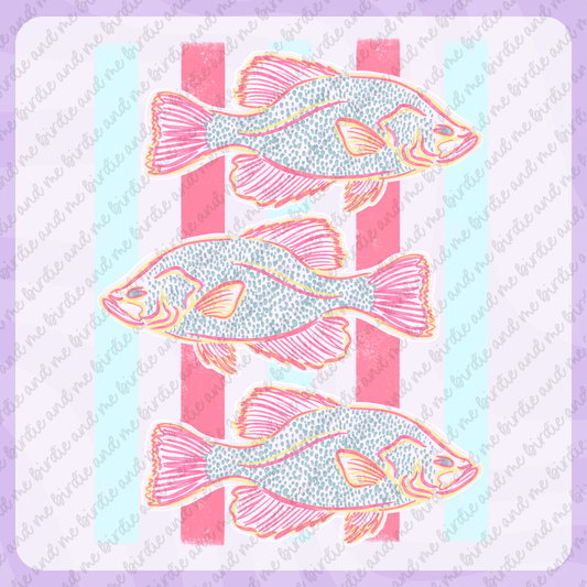 Preppy Crappie