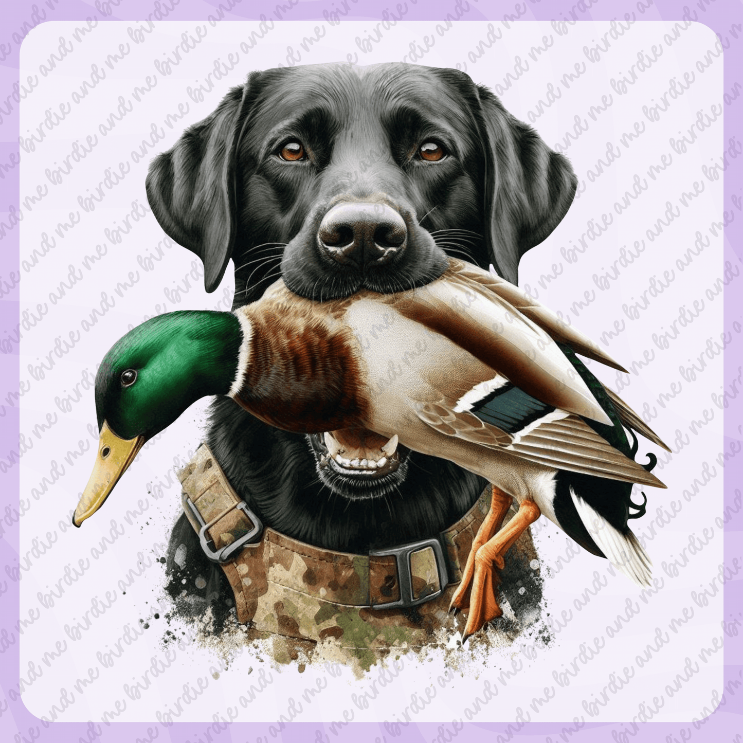 Duck Hunting Dog