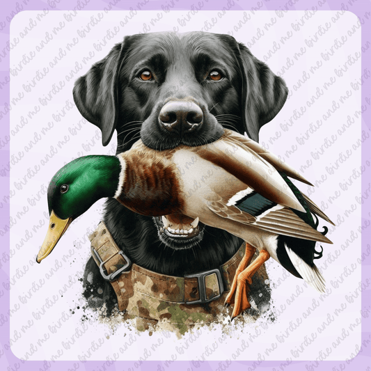 Duck Hunting Dog