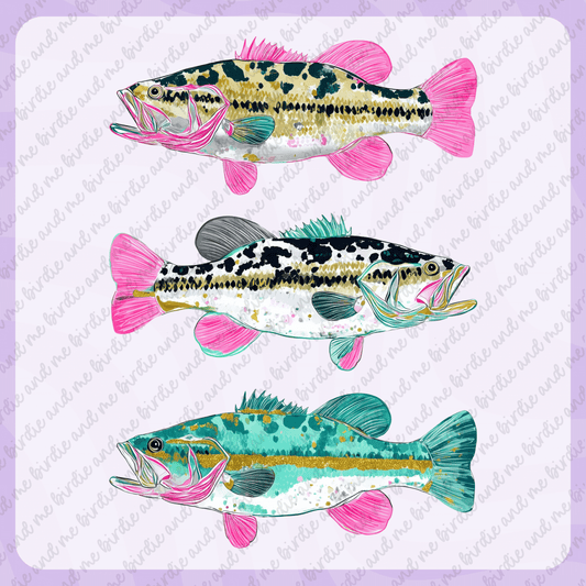 Preppy Bass