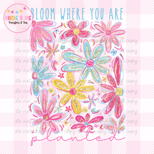 Bloom Where You Are Planted