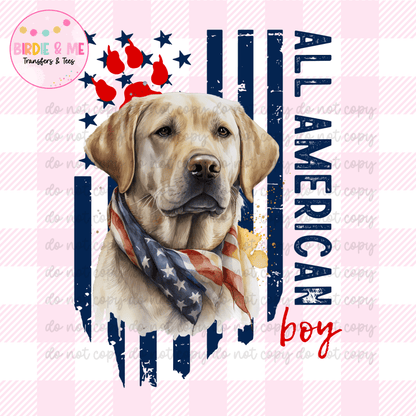 All American Boy