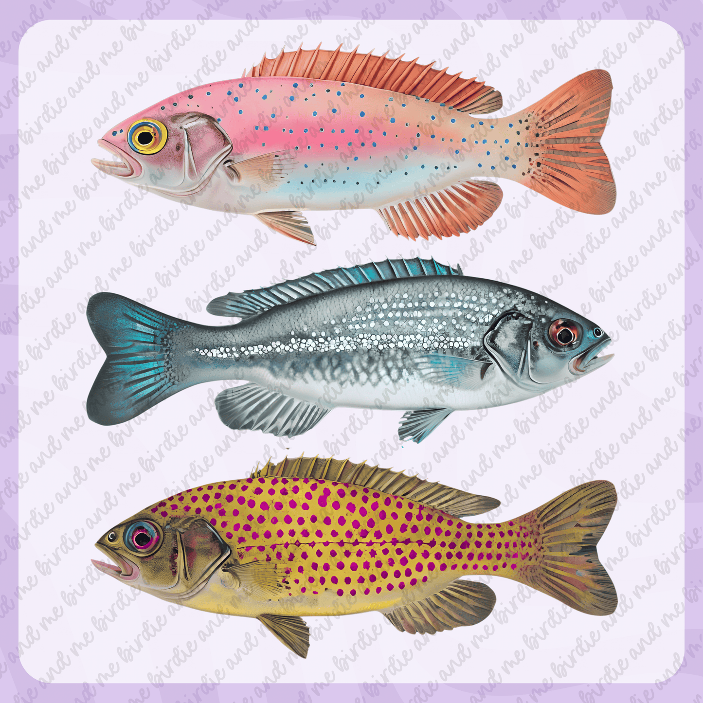 Saltwater Fish