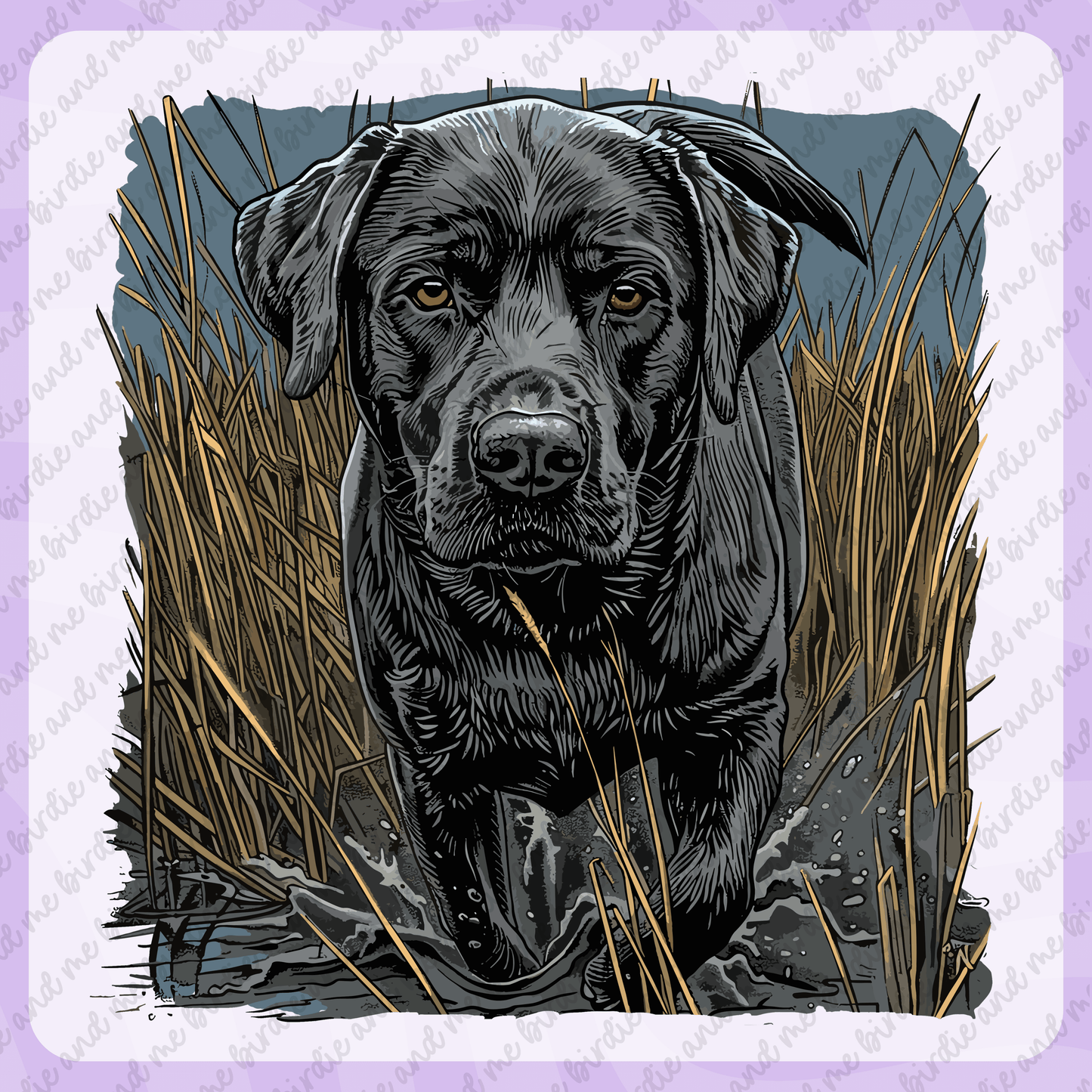 Labrador Hunting