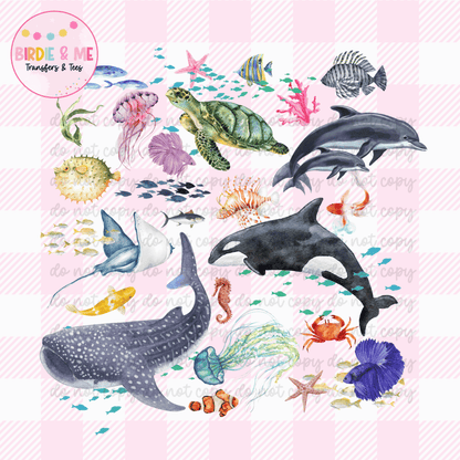 Sea Animals