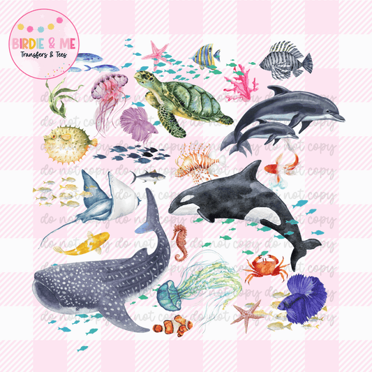 Sea Animals