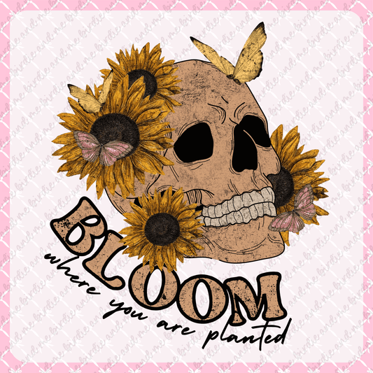 Bloom Where You Are Planted