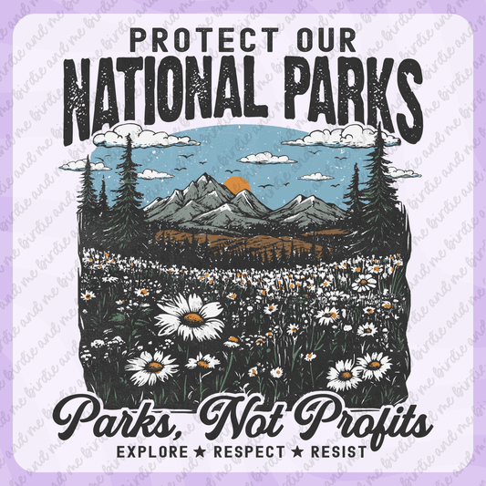Protect Our National Parks