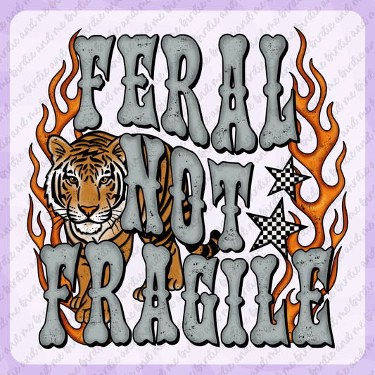 Feral Not Fragile