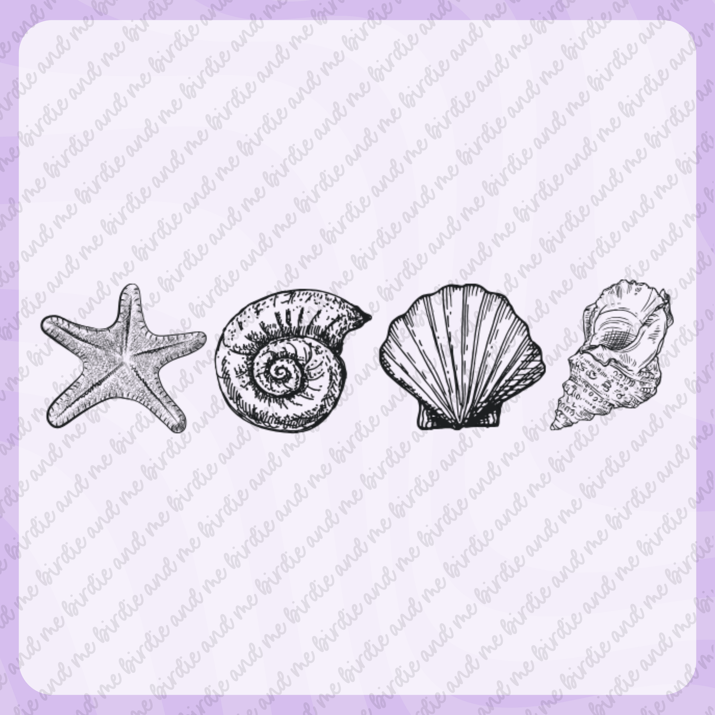 Seashells