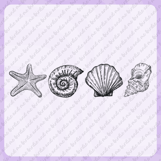 Seashells