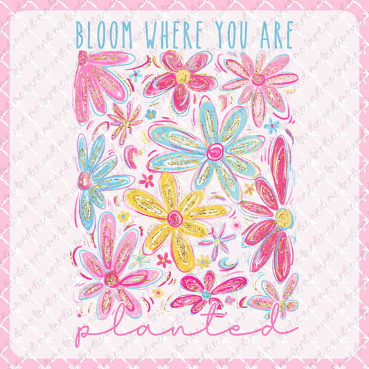 Bloom Where You Are Planted