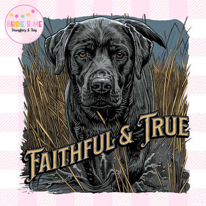 Faithful & True Lab