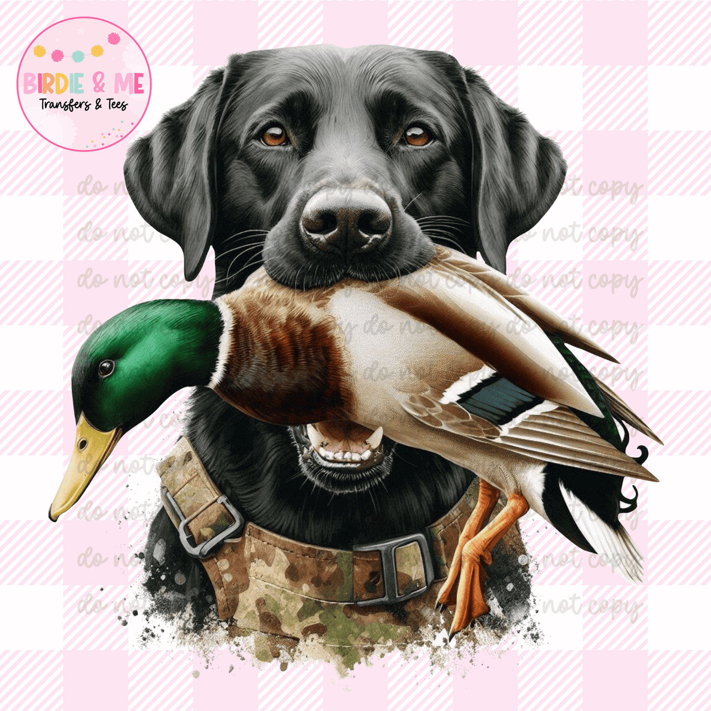 Duck Hunting Dog