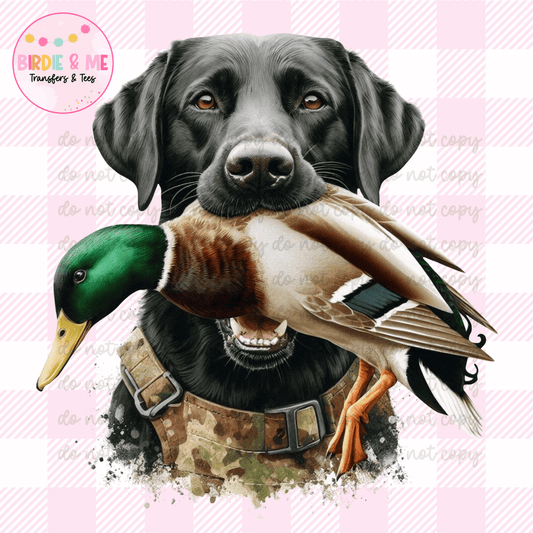 Duck Hunting Dog