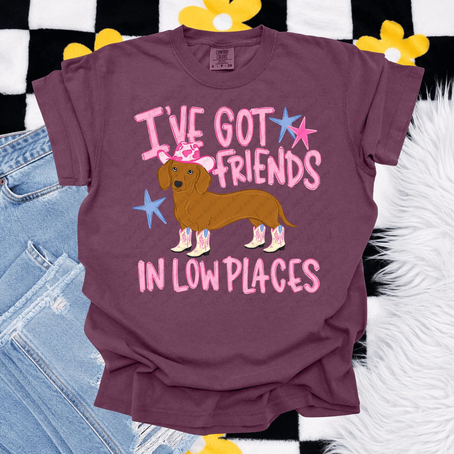 I've Got Friends In Low Places